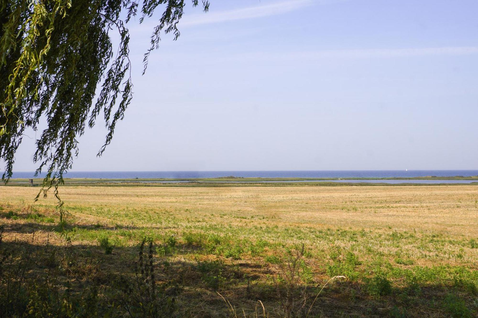 Duenenmeer Ferienwohnung Ostseebad Kühlungsborn Buitenkant foto